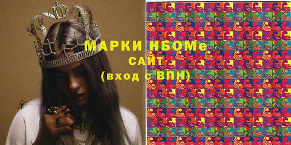 хмурый Нея