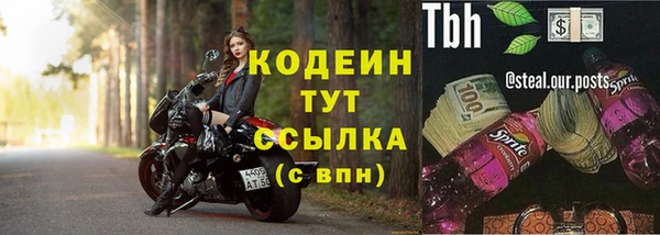 хмурый Нея